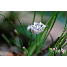50d3d4c9b28427cbcb8bc3761635f5802e5a87bca3c039737ef31546cfa0.jpg