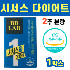 운동하면뭐하니시서스가루