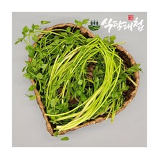 신선세척 국내산 물미나리 500g, ONE COLOR, ONE SIZE