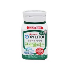 롯데제과 자일리톨 프로폴리스 84g (용기), 1개
