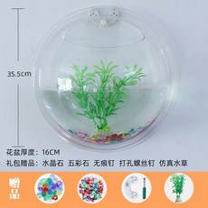 아르호이
