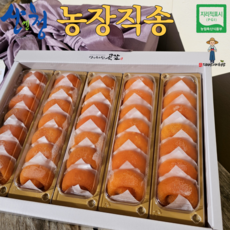'갓 말린' 달콤말랑 지리산 산청 곶감 특최상품 선물용 반건시 반시, 1개, 1.1 지리산 산청 곶감 24과 (대)