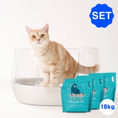 [핏펫] 냥쌤 투명 화장실+포우장 악취안녕 벤토나이트 모래6kg x 3개 SET