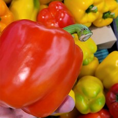 피망파프리카 빨간파프리카 특품 파프리카 5kg 2.5kg.2kg, 노랑(단색)_2.5kg, 1개