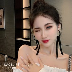 크리스탈귀걸이