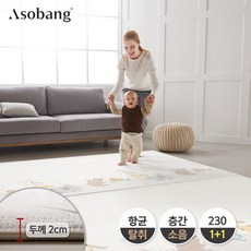 아소방1+1