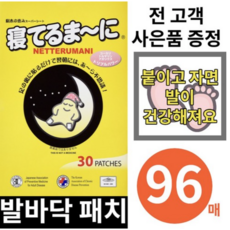 네떼루마니 발바닥 패치 독소 일제 일본 수액시트, 96매