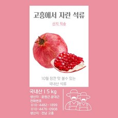 석류생과