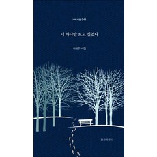 너 하나만 보고 싶었다:나태주 시집, 시와에세이, 9791186111925, 나태주 저