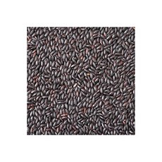 아침농산찰흑미4kg