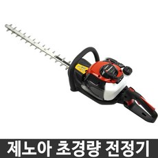 제노아전정기