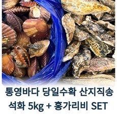 [산지직송][국내산] 제철 홍가리비 석화세트 석화 가리비 굴 굴구이 가리비구이 굴찜 석화찜 가리비찜 홍가리비찜 해산물 신선한 연말파티 연말음식 캠핑음식 연말파티음식 캠핑요리추천