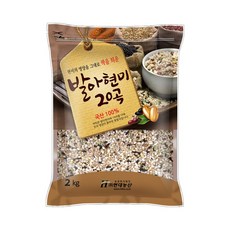 현대농산 국산 발아현미 20곡 2kg, 1개