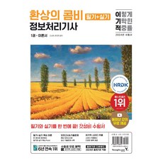 2024 이기적 정보처리기사 필기+실기 환상의 콤비, 영진닷컴, 고소현(저),영진닷컴,(역)영진닷컴,(그림)영진닷컴