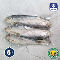 자연산 가을 전어 구이용 내장제거 칼집 10~12미, 5개, 1kg