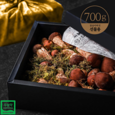 [도담들] 100% 국내산 무농약 참송이 버섯 선물세트, 선물용, 1개, 700g