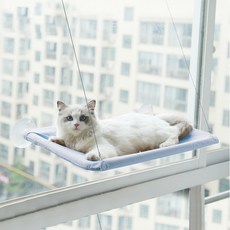 뉴블루캣20kg