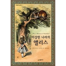 이상한나라의사각형