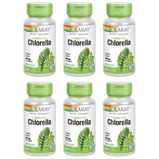 솔라레이 클로렐라 410mg, 6개, 100정