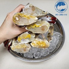 바다고씨네 서천 손질 냉동 간장 양념 게장용 봄 가을 절단 암 수 혼합 꽃게500g, 단품