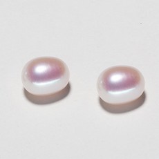 담수진주반구멍