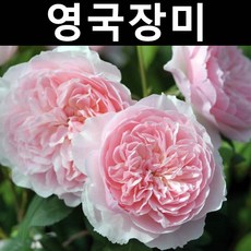 //상품명