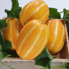 성주참외-추천-상품