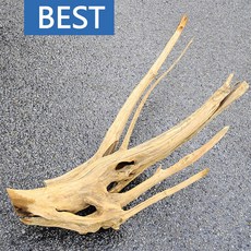 8087dba6b6fcadb1e227dfe45714f2d509470fd20f5e5be0e4468b49afaa.jpg