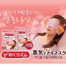 steam비행기
