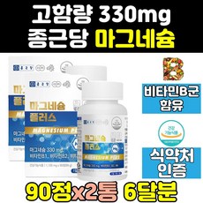 마그미