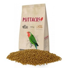 피타쿠스마이너