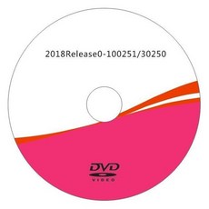 차량용버스턴dvd