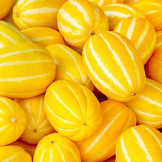 성주 못난이참외 가정용 10kg(혼합) 꿀맛, 1개
