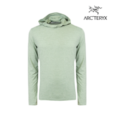 아크테릭스코막