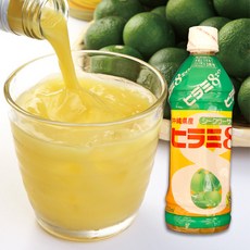 오지상구루메 시콰사 하이볼 500ml 오키나와 히라미에이트, 1개