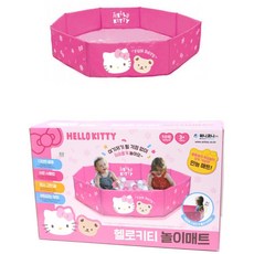 디자인스킨플레이짐