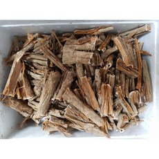 느릅나무아래욕망