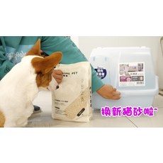 댕냥샵 반려동물 나무(종이) 606088683759, [탈취, 무 먼지, 항균] 알로에 고양이 쓰레기 3.2