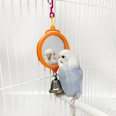 날으는새장난감