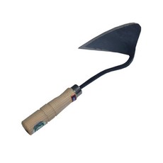 고구마농장체험