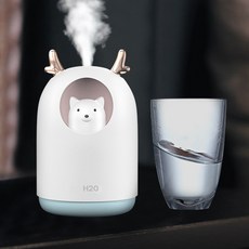 라라초음파