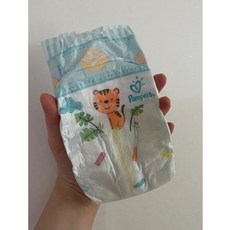 유럽산수영장기저귀