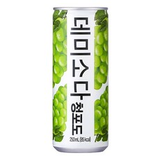 데미소다 청포도 250ml, 20개