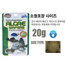 d61b7019cae33ee19fbad6a8a7766c529e0da5e682c2ec73ba03f88fe2a0.jpg