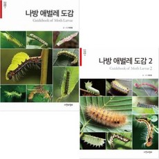 나방애벌레도감