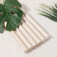 윤앤수자세교정