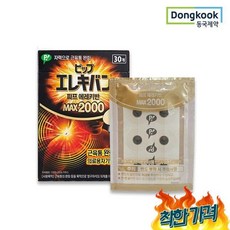 동국제약 허가 자석파스 피프 에레키반 MAX2000() 일본 동전 근...