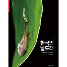 날도래