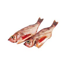 불볼락