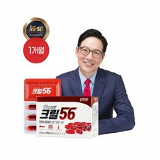 ps3106s